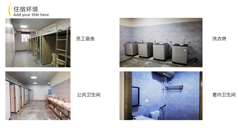 巨恩3.png