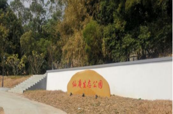1752584389737.jpg