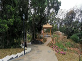 仙庵镇