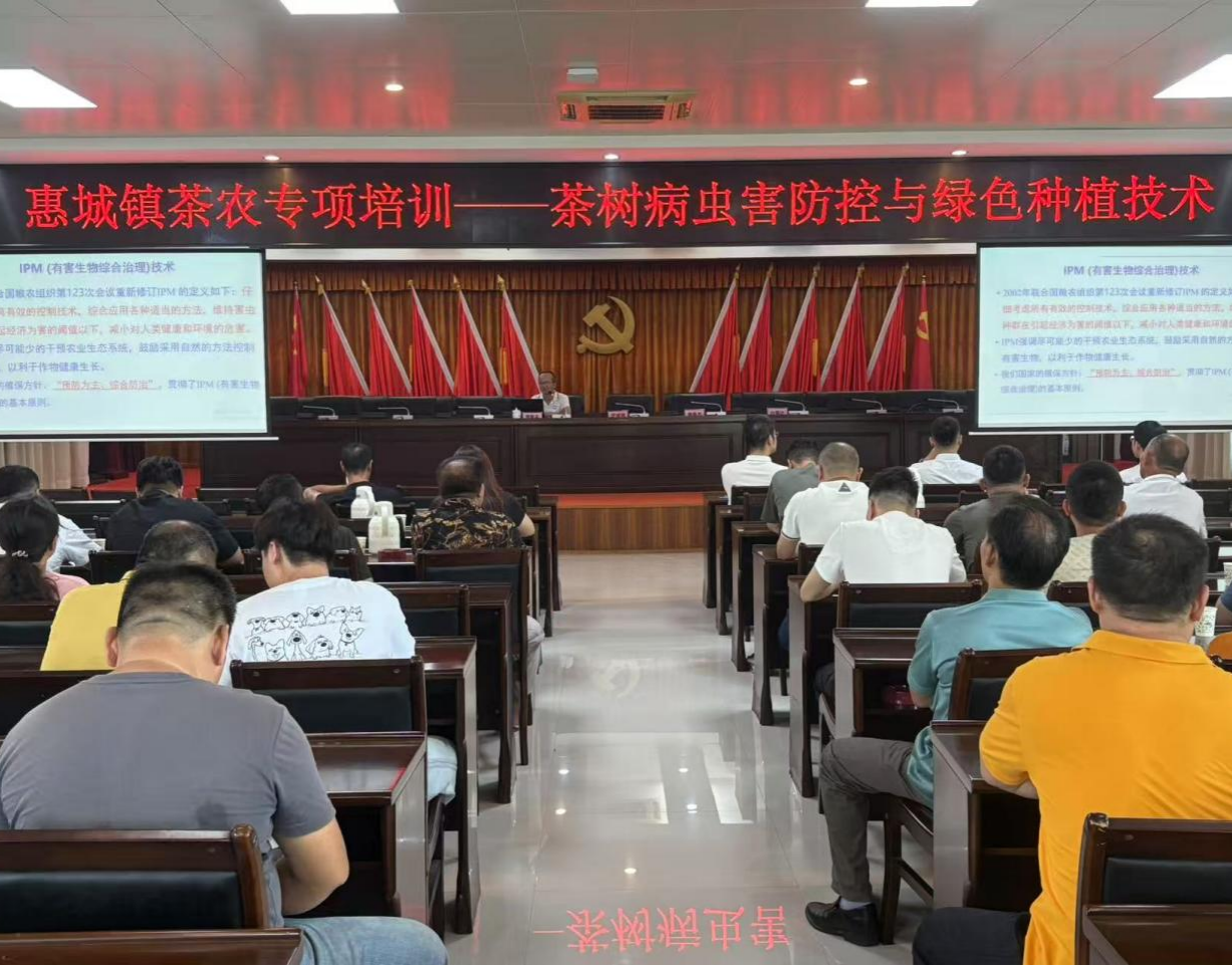 惠城镇乡村振兴人才驿站开展茶树病虫害防控与绿色种植技术专题培训